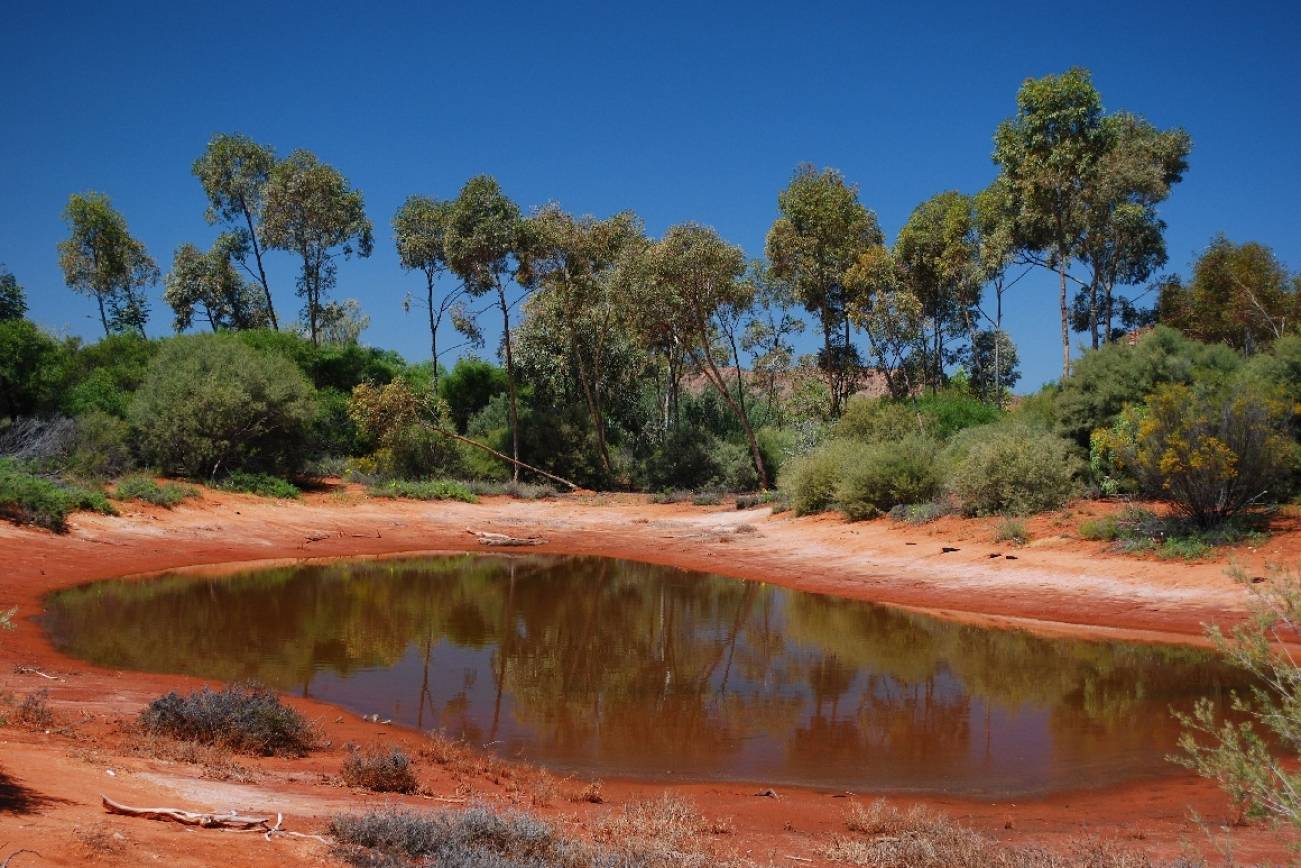 There is plenty to do during your Alice Springs holiday in Australia. 