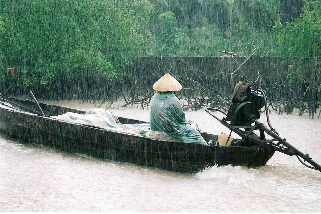 дожди во вьетнаме