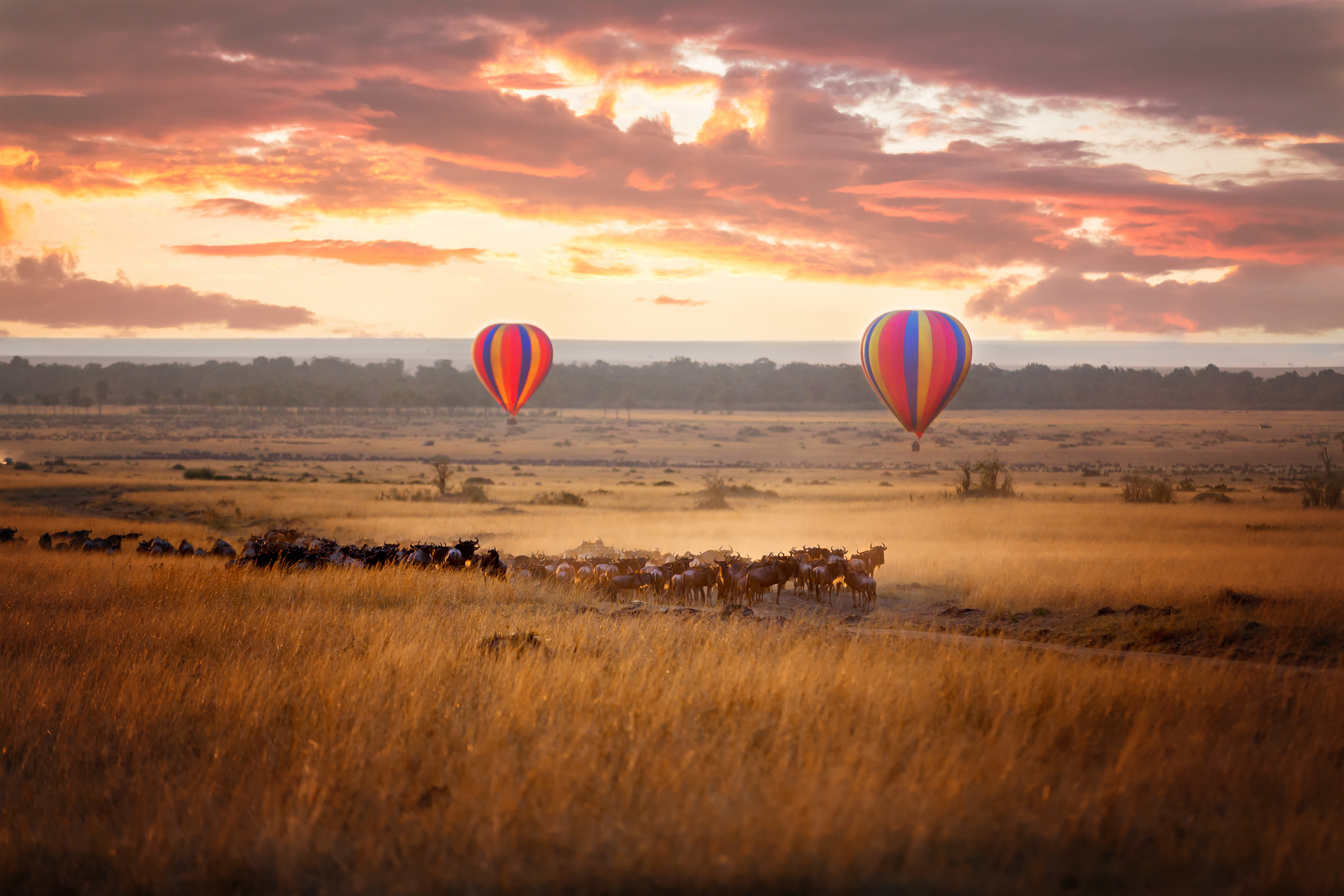 Optional balloon safari