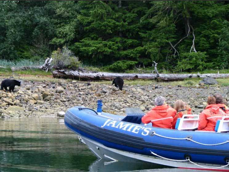 Country Details of BEAR WATCHING IN UCLUELET BY ZODIAC | Inspiration