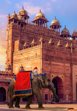 Discover India on this Highlights of Rajasthan Private Tour!