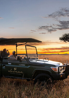 3 nights luxury Masai Mara Safari and 5* Ras Al Khaimah Beach!