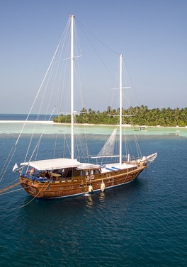 7 night Discovery Cruise in the Maldives followed by 7 nights beach!