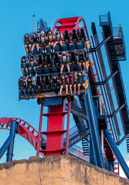 Busch Gardens and the Beach!