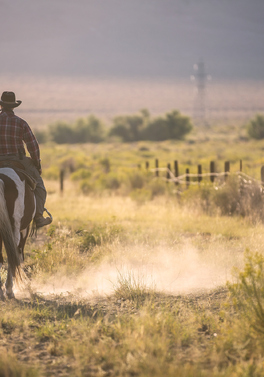 Wannabe Cowboys! Gather around!