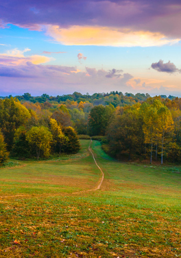 Explore Kentucky on this self drive itinerary!