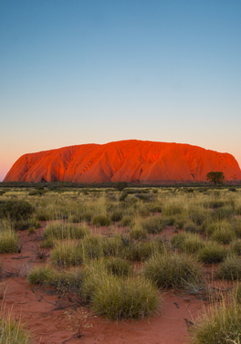 Australian Red Rocks!