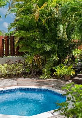 SALE! 31% OFF! - The Exotic West Coast of Barbados