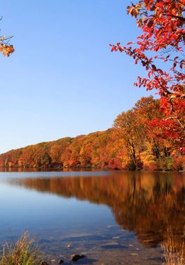 Not ready to give up Autumn yet? Embark on the Colours of New England Escorted Tour!!