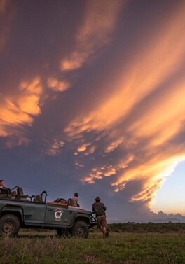 4 nights Cape Town and 4 nights Kruger package!