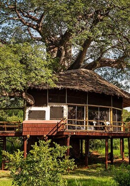 Stay in the Treetops on this luxury Tanzania Fly Safari with Zanzibar beach extension!