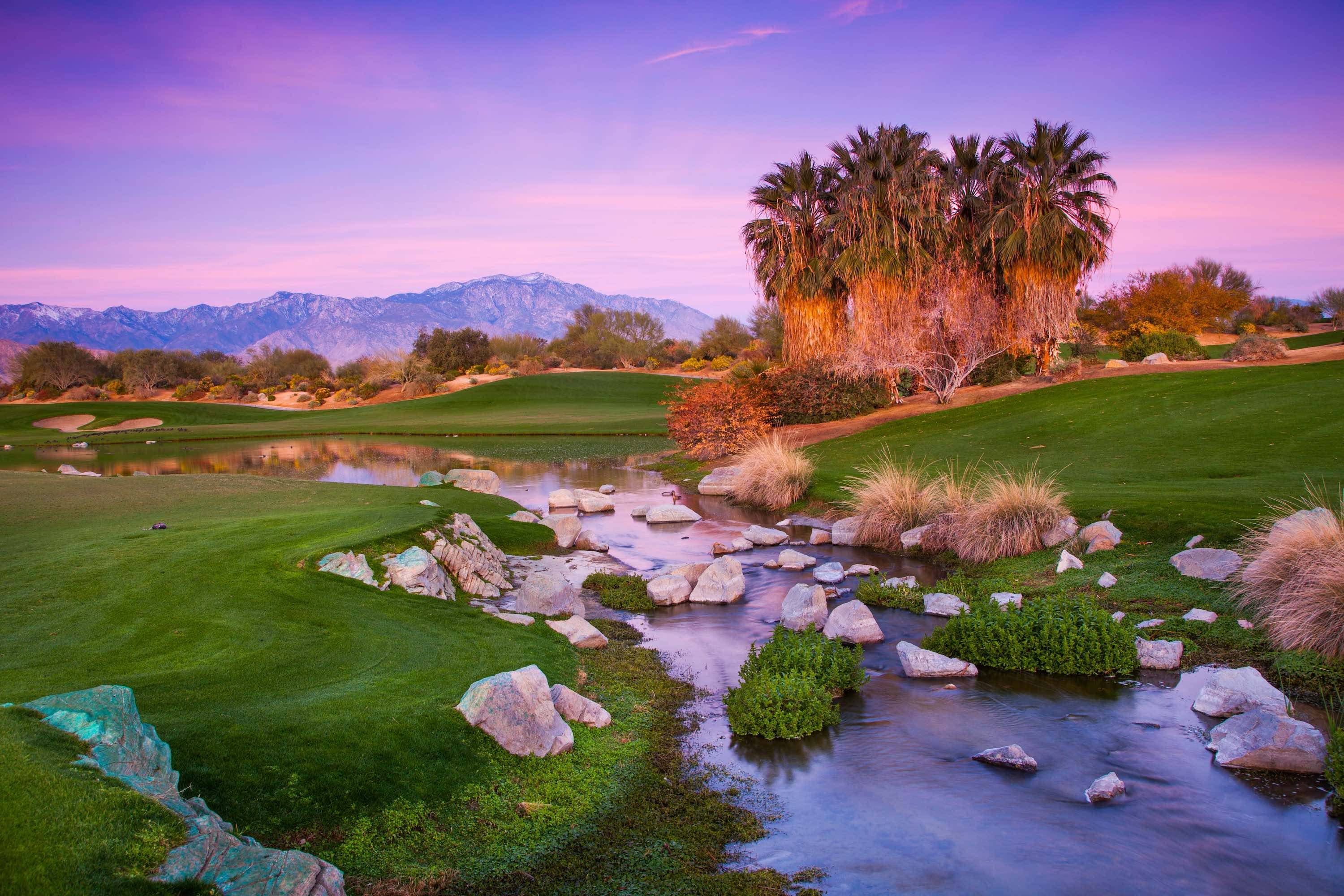 Desert Willow Palm Springs