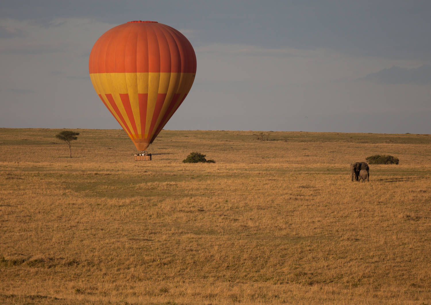 Optional Excursion - Balloon Safari