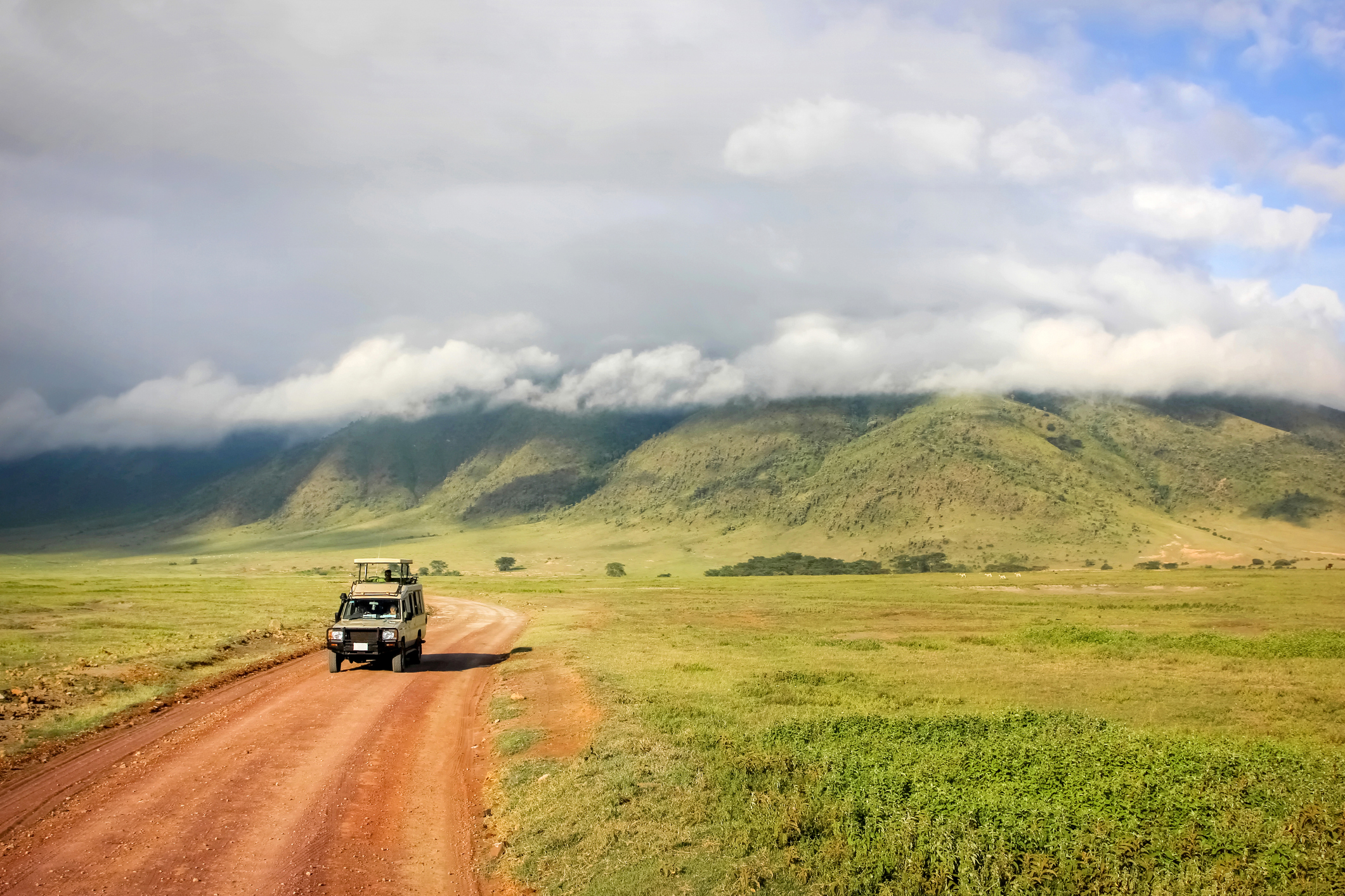 Game drive to Ngorongoro Crater