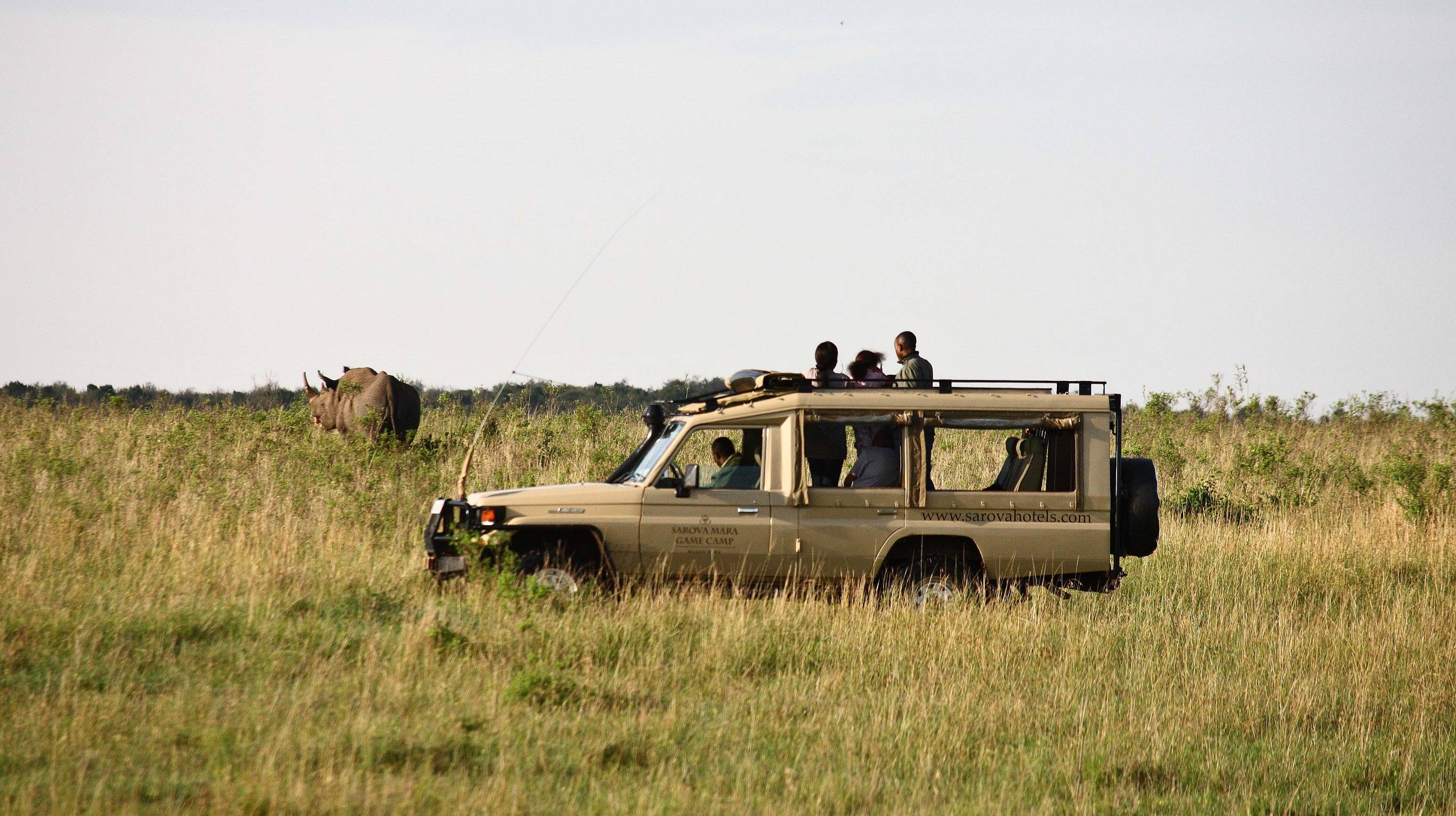 Sarova Mara Game Camp - Black Rhino