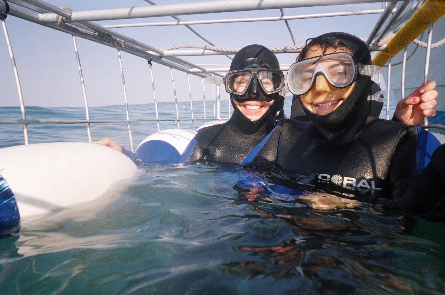 Shark Cage Diving