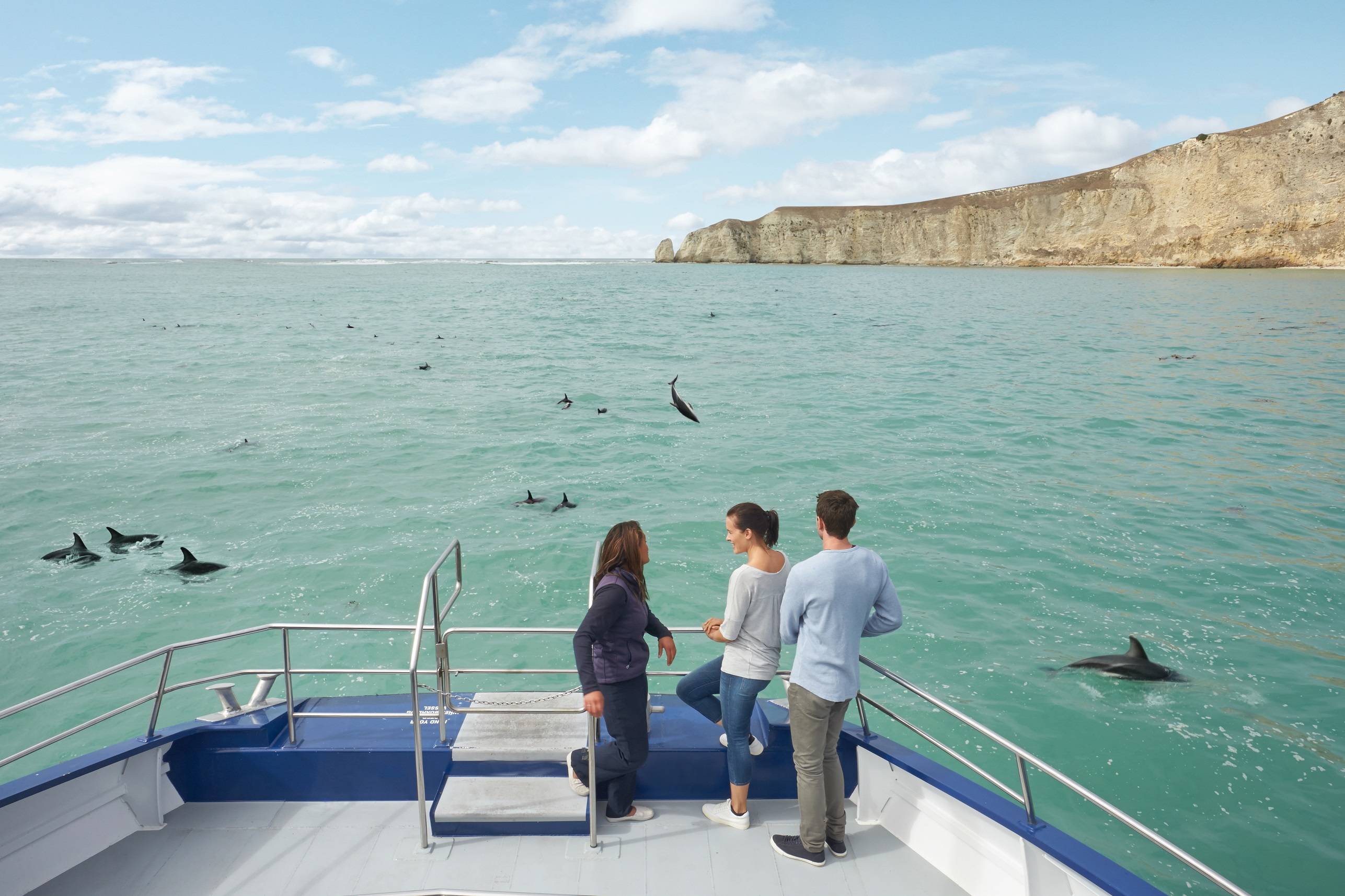  Kaikoura - whale and dolphin watching