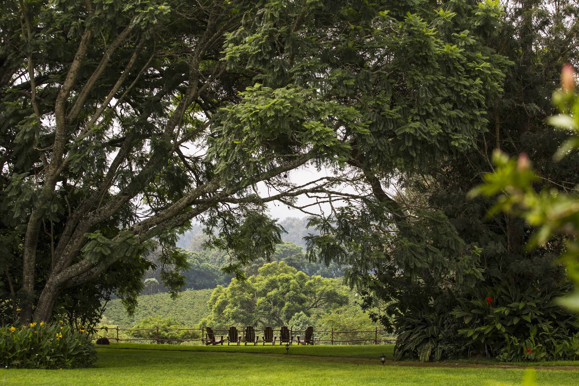 The Manor at Ngorongoro - Gardens